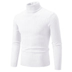 Valenric Ashton Textured Rollneck
